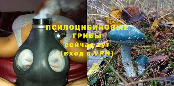 не бодяженный Алзамай